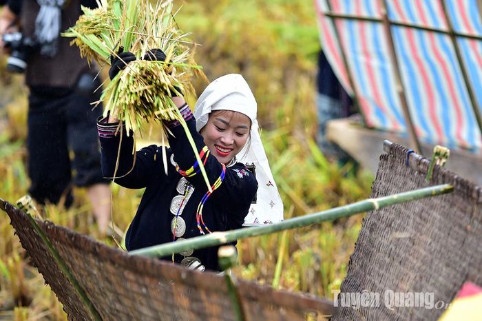 Người dân đập lúa trong Hội thi thu hoạch lúa tại Lễ hội. Ảnh:Thanh Phúc