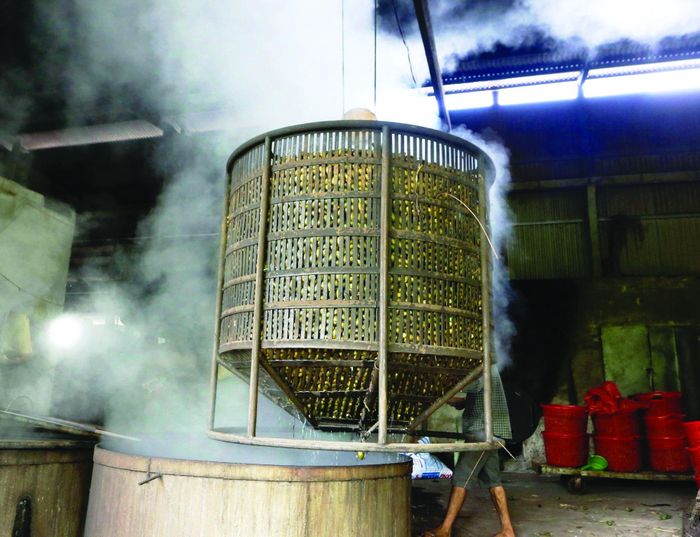 Những nồi cau đã luộc chín được đem ra ngoài. 