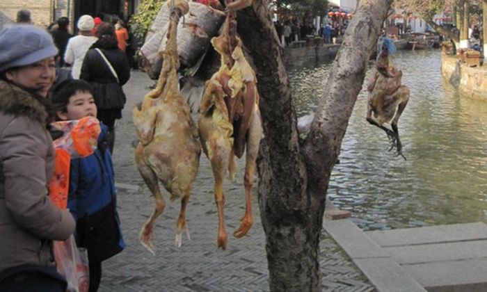 Việc người đầu bếp mổ gà khi còn sống và gây đau đớn cho gà trước khi chết đã khiến nhiều người cho rằng món ăn này đối xử quá tàn nhẫn với động vật