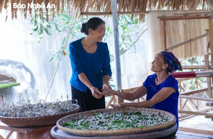 Niềm vui của những những phụ nữ nuôi tằm lấy kén ở xã Châu Tiến, huyện Quỳ Châu. Ảnh: Đình Tuyên