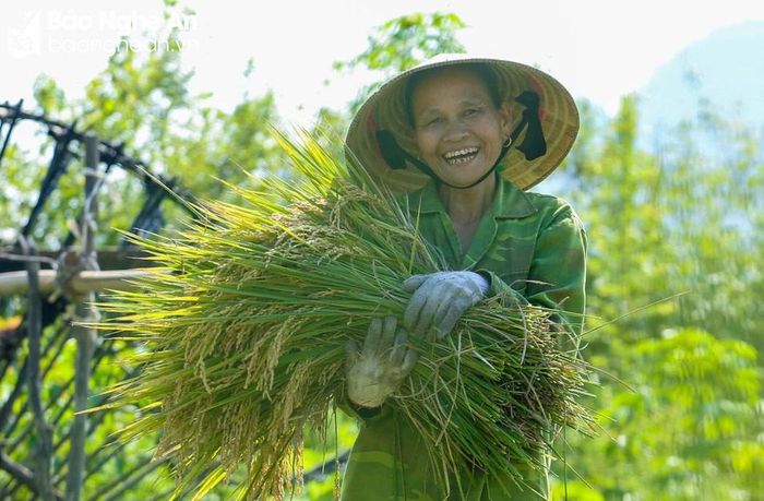 Người phụ nữ nông dân từ bao đời nay đã chân lấm tay bùn, hết việc nhà đến ruộng đồng, nương rẫy, quanh năm tất bật. Sớm hôm nhọc nhằn mưu sinh, thế nhưng, nụ cười vẫn sáng lên trên những tần tảo cuộc đời... Ảnh: Đình Tuyên
