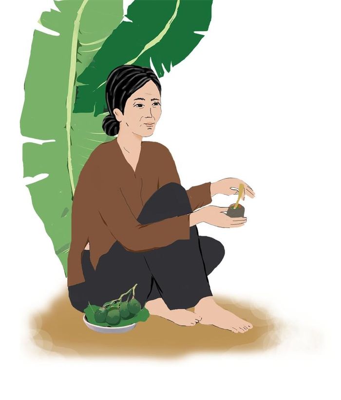 Minh họa: H.T