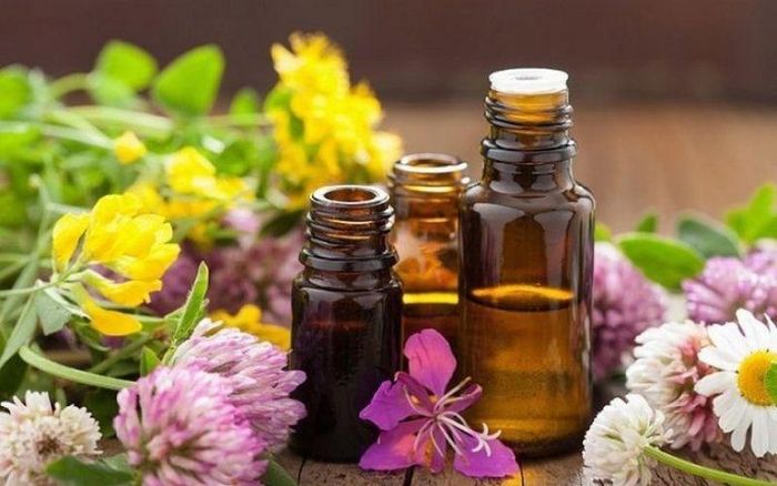 Đình chỉ lưu hành, thu hồi trên toàn quốc lô sản phẩm Tinh dầu hoa bưởi – Chai 80ml.