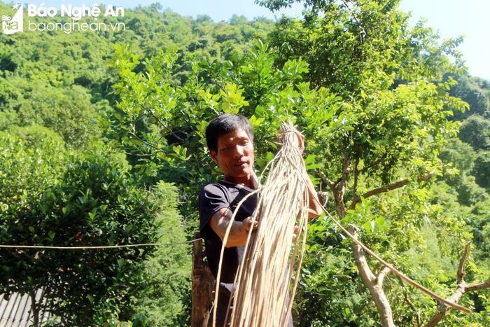  Sản phẩm của người dân làm ra chủ yếu là mâm mây, ghế mây. Nguyên, vật liệu được tận dụng từ nguồn sẵn có trong rừng. Khi đem về phải mang phơi khô mới đem lại độ bền. “Ngoài việc đan đẹp thì sản phẩm cần tới độ bền. Muốn bền, trước lúc đan phải phơi đủ nắng để những sợi mây, tre dẻo lại” - anh Lữ Văn Đức chia sẻ. Ảnh: Đào Thọ 