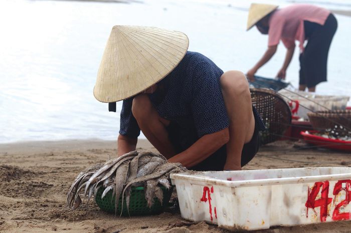 Một cụ già mưu sinh từ nghề biển.