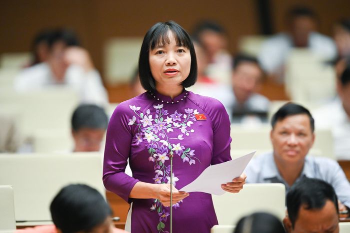 Đại biểu Quốc hội Nguyễn Thị Việt Nga. Ảnh: Quang Vinh.