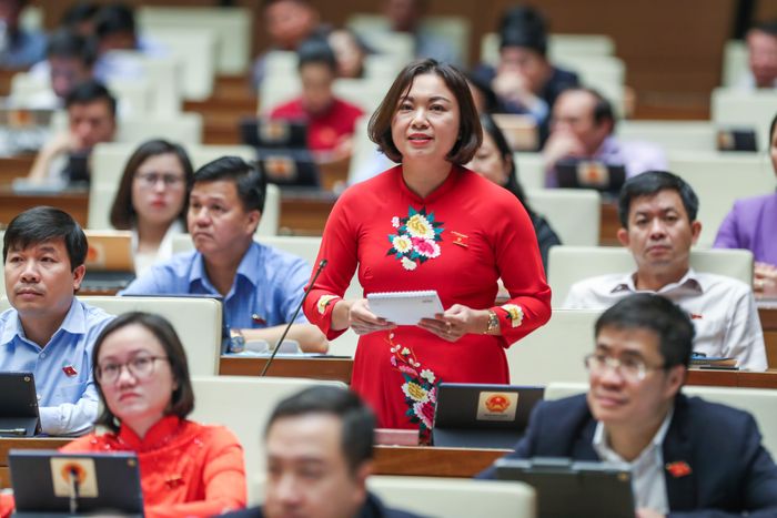 Đại biểu Quốc hội Đặng Bích Ngọc. Ảnh: Quang Vinh.