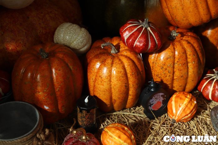 Bí ngô là mặt hàng không thể thiếu ở bất cứ không gian Halloween nào