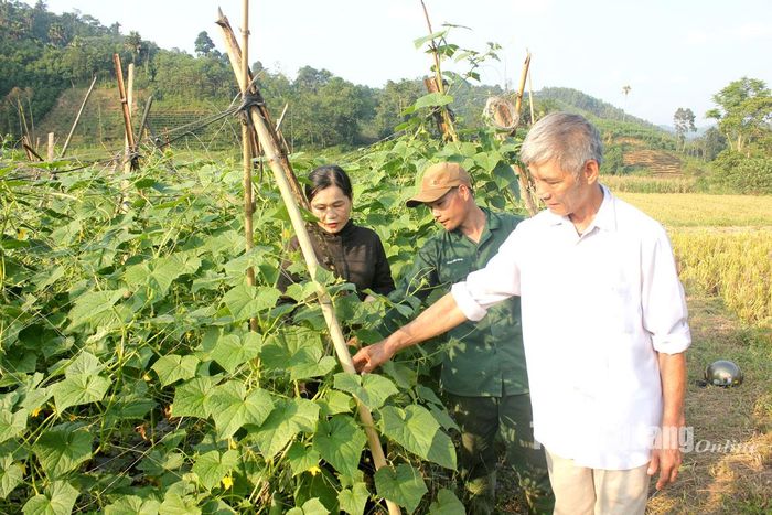 Ông Minh hướng dẫn kỹ thuật trồng, chăm sóc cây dưa vụ 3 cho người dân trong thôn.