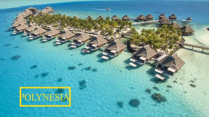 Polynesia thuộc Pháp không tồn tại muỗi