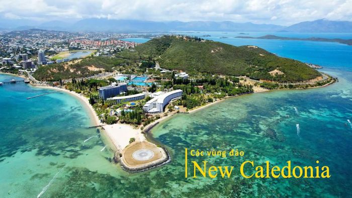 Đảo New Caledonia không có muỗi