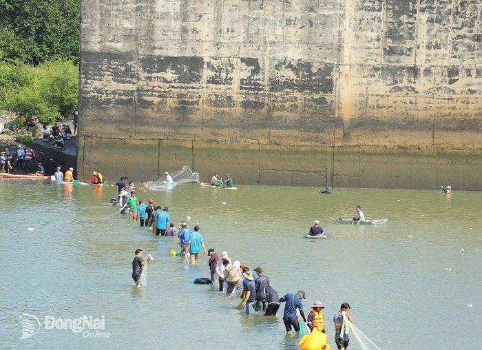 Theo người dân, khi thủy điện ngưng xả nước, nước hạ nguồn nhanh, cá xuống không kịp nên đây là thời điểm “vàng” để săn lộc trời