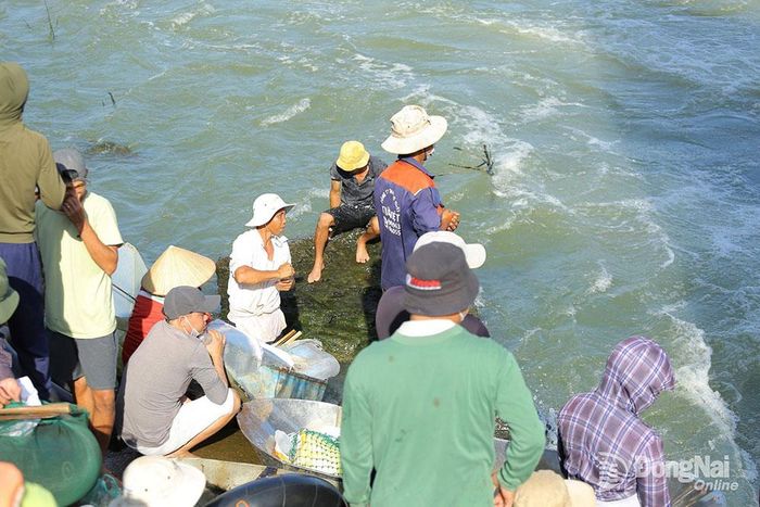 Đập ngưng xả, người dân chuẩn bị xuống nước bắt cá