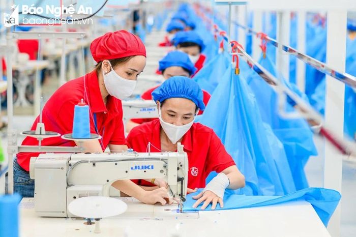  Việc chậm đóng BHXH, BHYT làm ảnh hưởng không nhỏ tới quyền lợi của người lao động. Ảnh minh họa D.T 