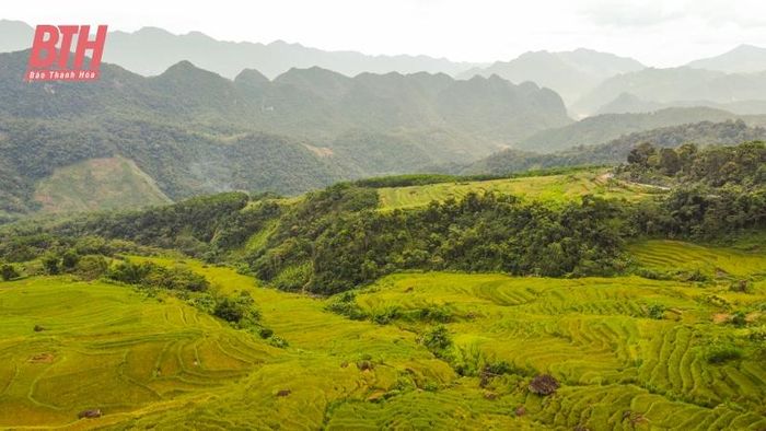 Khu bảo tồn thiên nhiên Pù Luông nằm trên địa bàn huyện Bá Thước, cách TP Thanh Hóa khoảng 130km về phía Tây. Nơi đây có địa hình vùng núi cao, khí hậu mát mẻ quanh năm, cảnh quan hùng vĩ, đặc biệt vào mùa lúa chín ở Pù Luông mang một vẻ đẹp hút hồn du khách mỗi lần ghé thăm.
