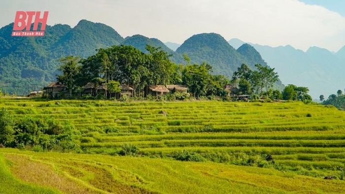 Pù Luông hiện là điểm đến hấp dẫn của du khách trong và ngoài nước. Nơi đây có khí hậu quanh năm mát mẻ và phong cảnh thiên nhiên đẹp. Nhiều dịch vụ du lịch homestay, du lịch cộng đồng với những căn nhà sàn truyền thống được người dân và các nhà đầu tư xây dựng ngày một nhiều.