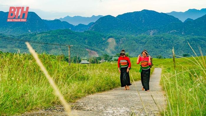 Ngày mùa, không khó để bắt gặp hình ảnh những người phụ nữ gùi lúa về nhà.