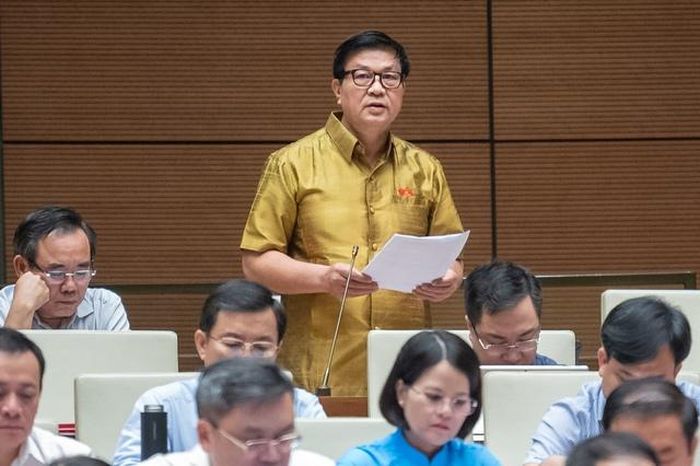 Chủ tịch Liên đoàn Luật sư Việt Nam Đỗ Ngọc Thịnh góp ý Luật Tài nguyên (sửa đổi) - Ảnh: VGP
