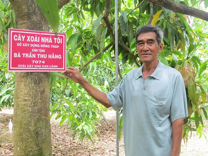Mô hình “Cây xoài nhà tôi” của Hợp tác xã xoài Mỹ Xương tổ chức bán hàng trên website, góp phần đưa thương hiệu “Xoài Cao Lãnh” vươn xa (Ảnh: Mỹ Nhân)