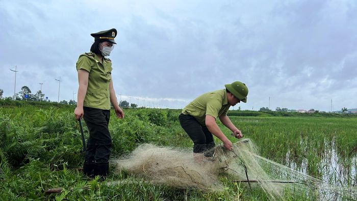 Lực lượng Kiểm lâm cắt bỏ các bẫy lưới giăng trên đồng.