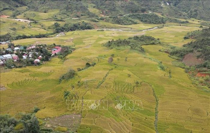 Cánh đồng lúa chín vàng xen với các thôn, làng của bà con Xơ Đăng tại thung lũng Măng Ri.
