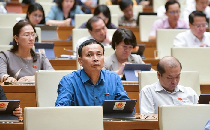 Các đại biểu Quốc hội dự phiên họp 