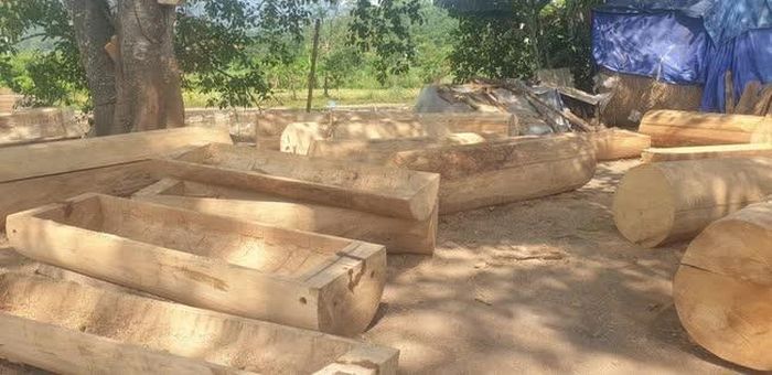 Bãi quan tài thân cây khoét rỗng tại Xóm Chiềng, Tân Lập, Lạc Sơn, Hòa Bình (ảnh tác giả chụp ngày 27/10/2023)