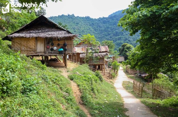  Theo anh Xeo Văn Định, 33 tuổi (công an viên bản Phia Òi từ năm 2014): Hiện nay bản có 41 hộ dân, 185 nhân khẩu. Cả bản có 1 hộ người Thái, còn lại là người Khơ mú. Ảnh: Hữu Vi 