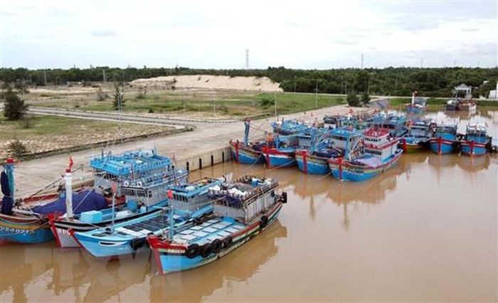 Các tàu cá neo đậu tại cảng. (Ảnh: Tá Chuyên/TTXVN)