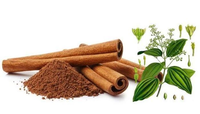  Quế là thảo dược có hiệu quả trong điều chỉnh huyết áp bất thường. 