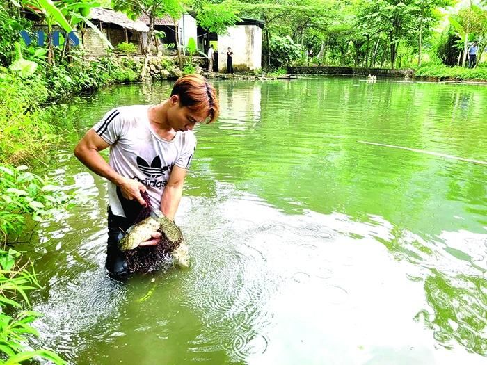 Mô hình nuôi cá dốc đang đem lại hiệu quả kinh tế, tăng thu nhập cho người dân trong thôn.