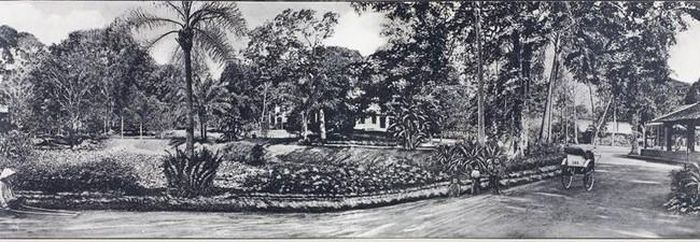 Bên trong vườn