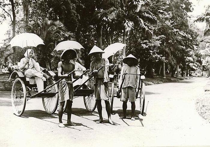 Đi dạo trong vườn bằng xe kéo