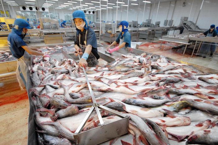 Xuất khấu nhóm hàng công nghiệp chế biến tiếp tục có sự phục hồi tích cực trong tháng 10/2023 với kim ngạch tăng 4,6%