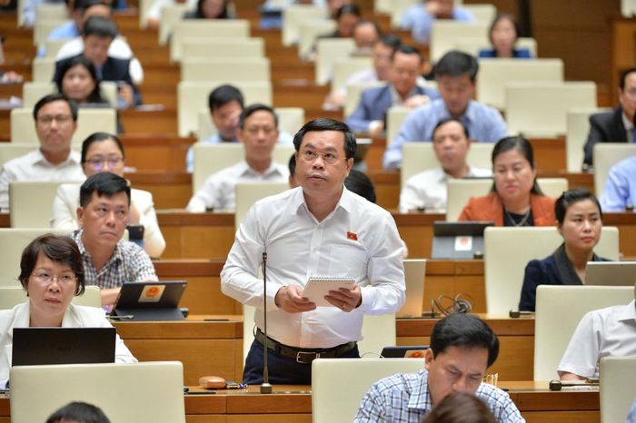 Đại biểu Quốc hội Vương Quốc Thắng (Quảng Nam) chất vấn tại hội trường