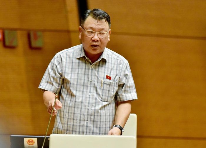 Đại biểu Quốc hội Nguyễn Tạo (Lâm Đồng) chất vấn tại hội trường