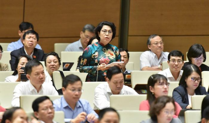 Đại biểu Quốc hội Tô Thị Bích Châu (TP. Hồ Chí Minh) chất vấn