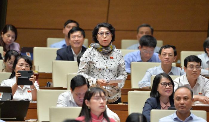 Đại biểu Quốc hội Tô Thị Bích Châu (TP. Hồ Chí Minh) chất vấn