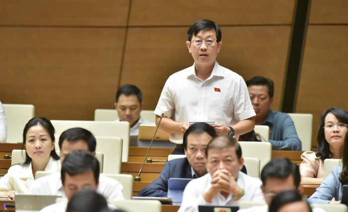 Đại biểu Quốc hội Nguyễn Hữu Thông (Bình Thuận) chất vấn