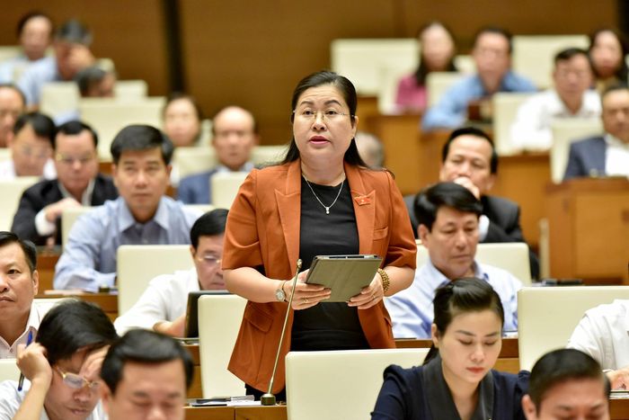 Đại biểu Quốc hội Nguyễn Thị Minh Trang (Vĩnh Long) chất vấn tại hội trường