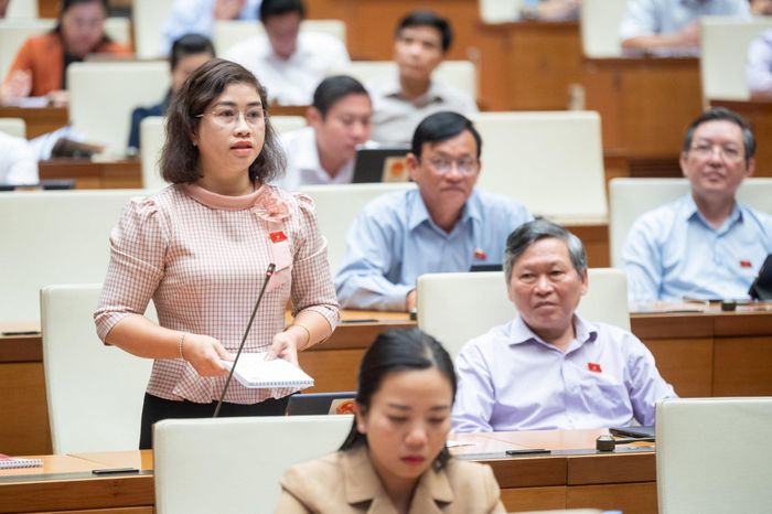 Đại biểu Quốc hội Phạm Thị Kiều (Đắk Nông) chất vấn tại hội trường
