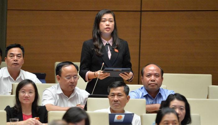 Đại biểu Quốc hội Đoàn Thị Lê An (Cao Bằng) chất vấn