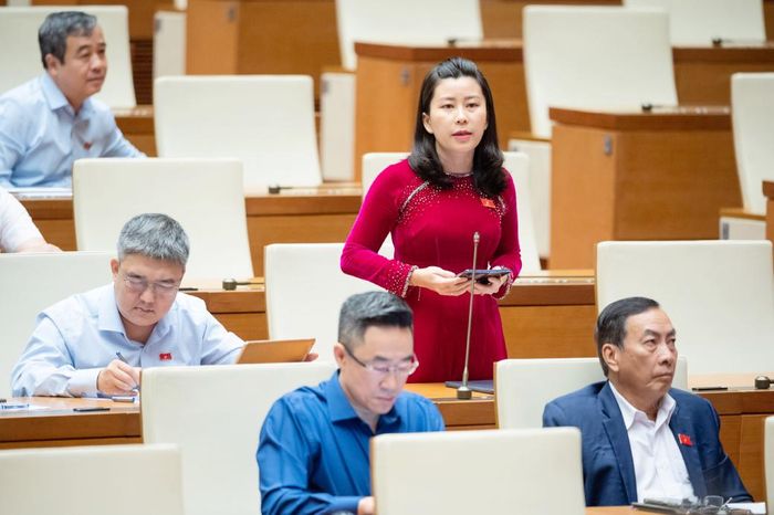 Đại biểu Quốc hội Lê Đào An Xuân (Phú Yên) chất vấn