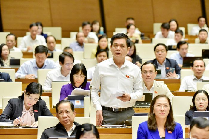 Đại biểu Quốc hội Nguyễn Lâm Thành (Thái Nguyên) chất vấn tại hội trường
