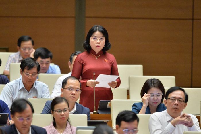 Đại biểu Quốc hội Nguyễn Thị Ngọc Xuân (Bình Dương) chất vấn