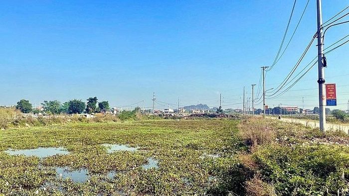 Đấu giá đất ở Ninh Bình thanh khoản kém. Ảnh minh họa.