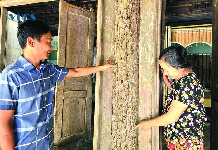 Ngôi nhà cổ tuổi đời hơn 100 năm tuổi của gia đình bà Lê Thị Nơi bị mối mọt, xuống cấp.
