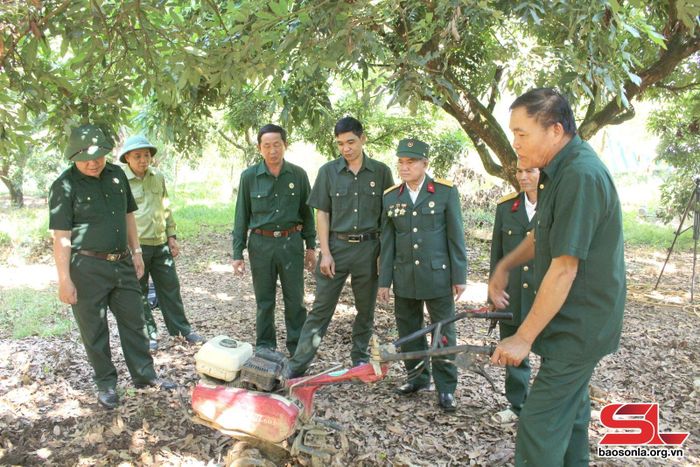 Cựu chiến binh huyện Sông Mã thăm mô hình HTX dịch vụ nông nghiệp An Thịnh.