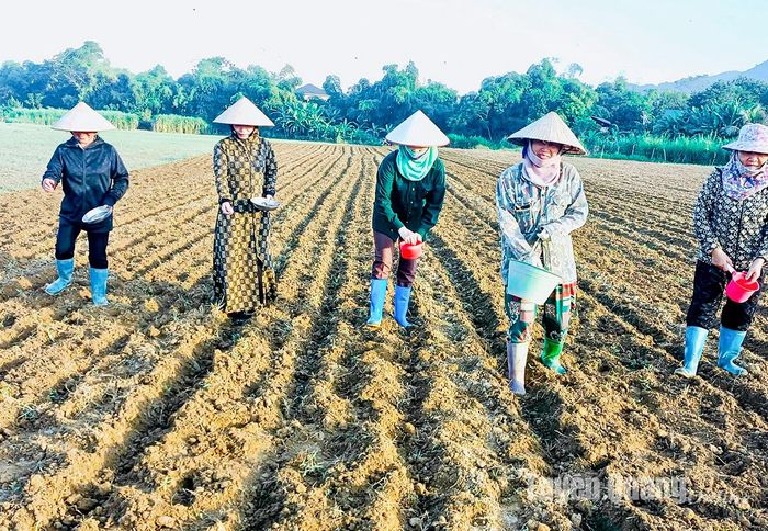 Hội Liên hiệp Phụ nữ xã Thiện Kế (Sơn Dương) tổ chức giúp ngày công trồng ngô cho hội viên phụ nữ nghèo bị ốm đau.