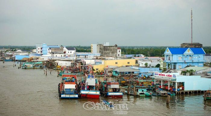 Cầu qua sông Ông Đốc hoàn thành nối liền 2 bờ Nam và bờ Bắc của thị trấn Sông Đốc, hình thành hệ thống giao thông liên hoàn từ Đông sang Tây và kết nối với đường ven biển của các tỉnh lân cận, góp phần thúc đẩy phát triển đô thị. 